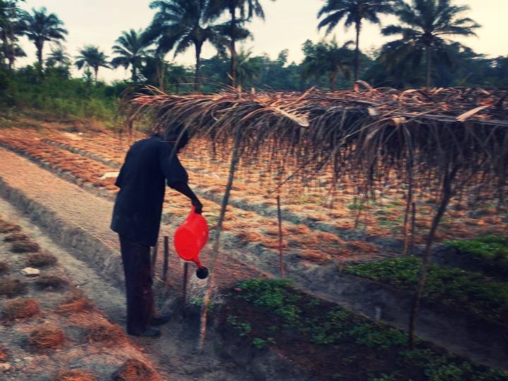 SEED Farms - Agriculture Farming