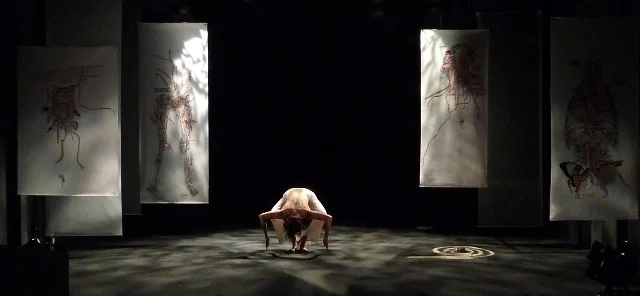 Traces 2009.jpg