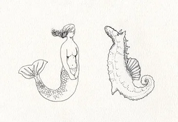 mermaid & seahorse