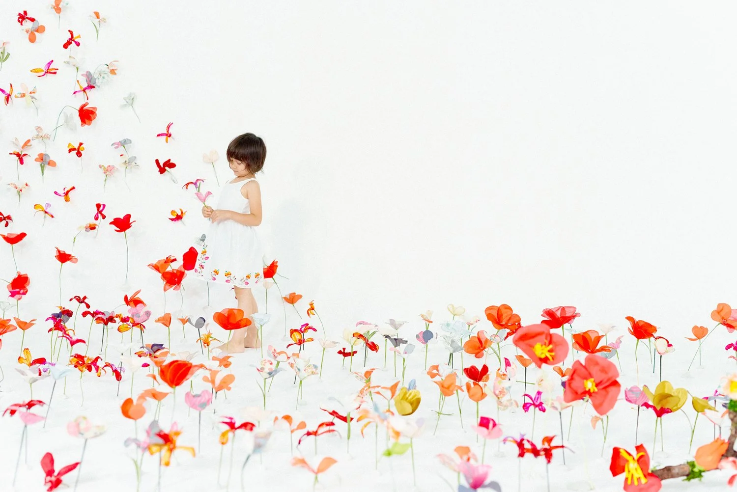 mountain of flowers.jpg