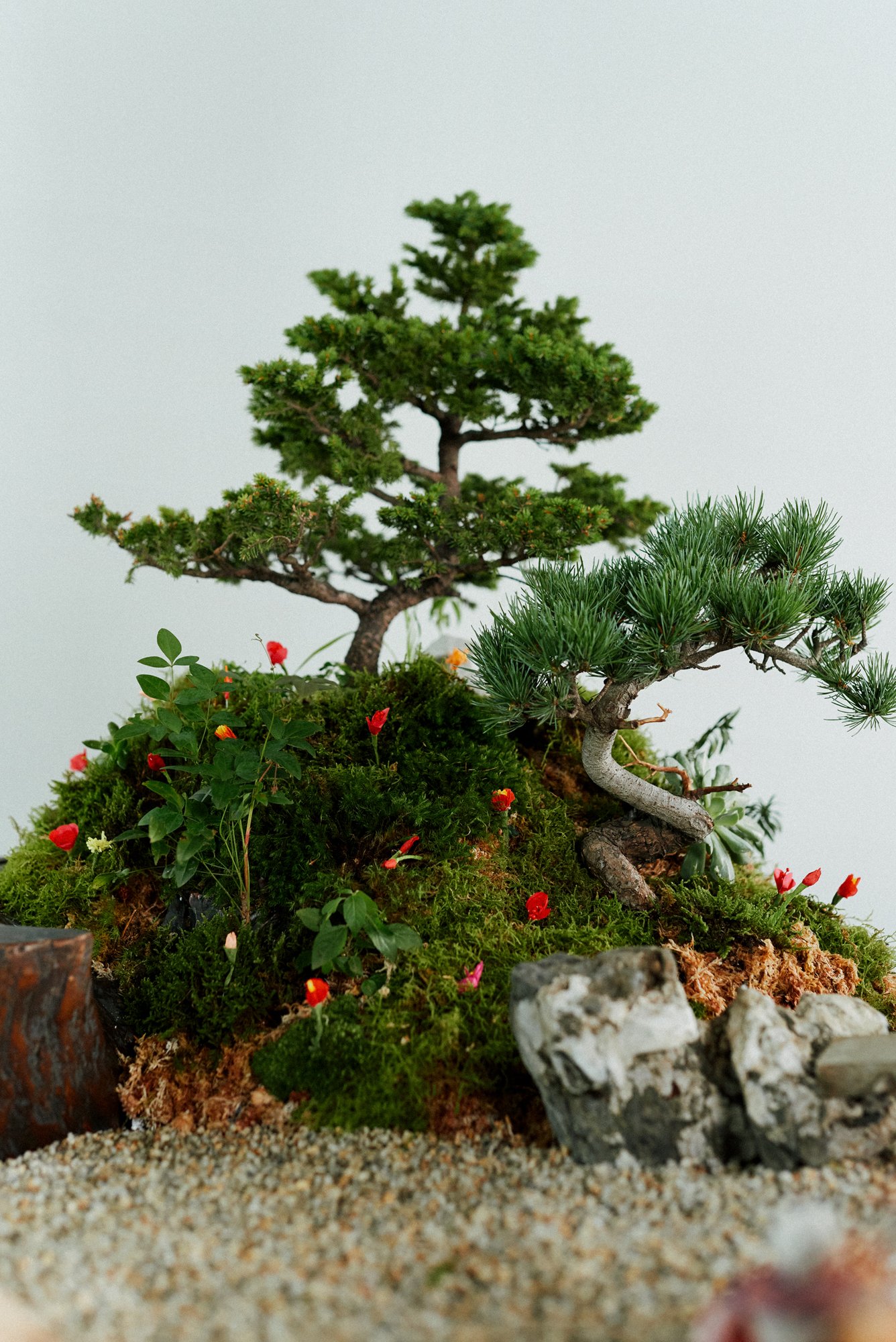 mountain of flowers7.jpg