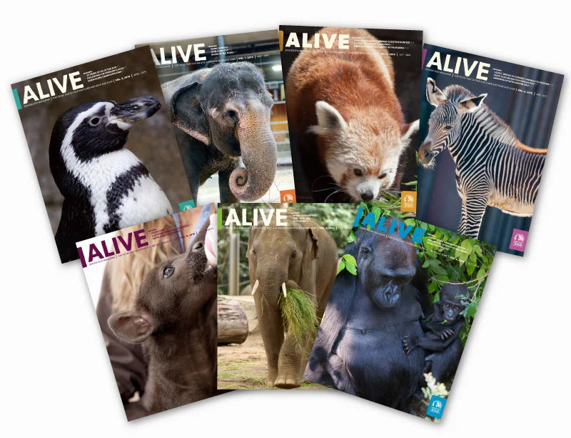 all_ALIVE_covers.jpg