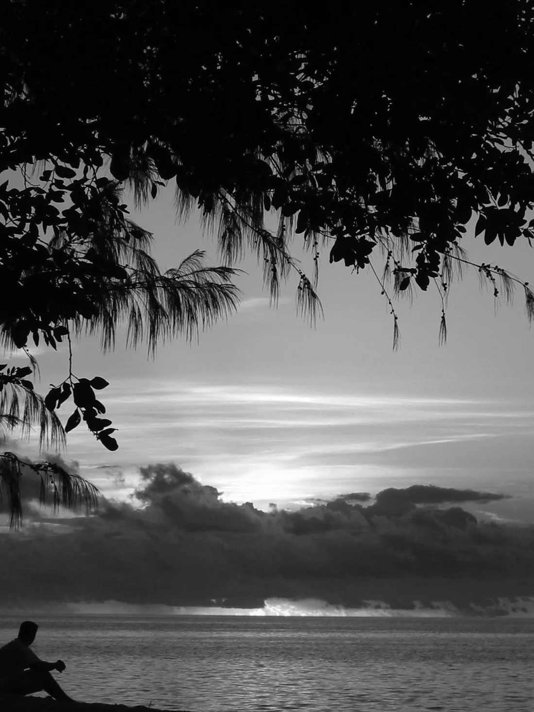 fiji2.jpg