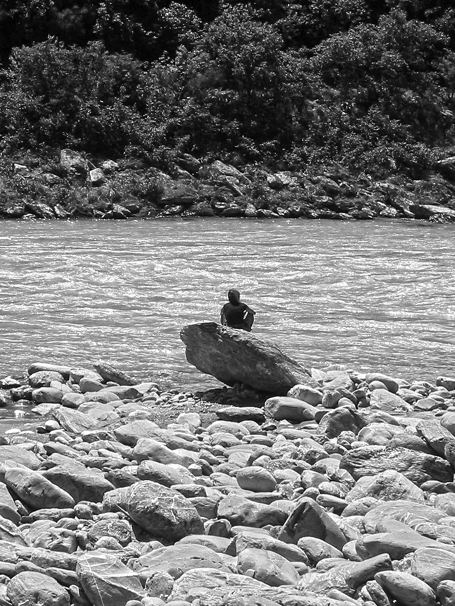 trees_river_rocks.jpg