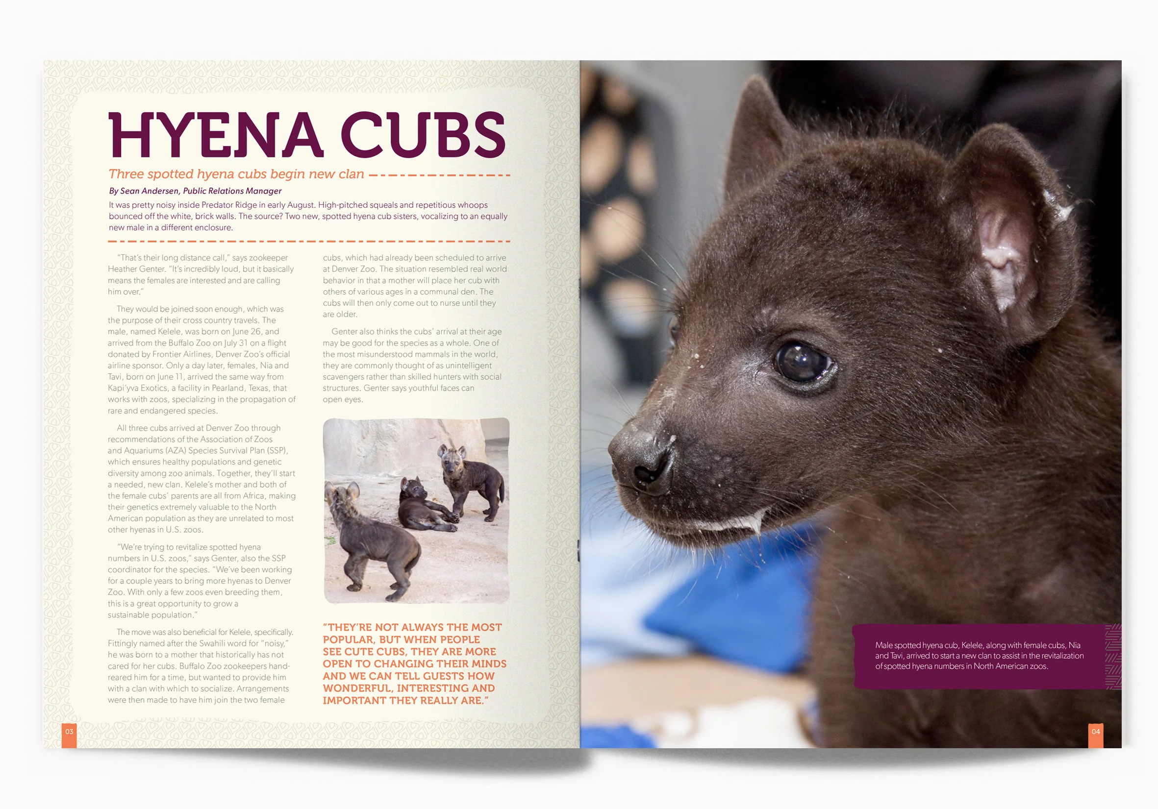 ALIVE_spread_hyena.jpg