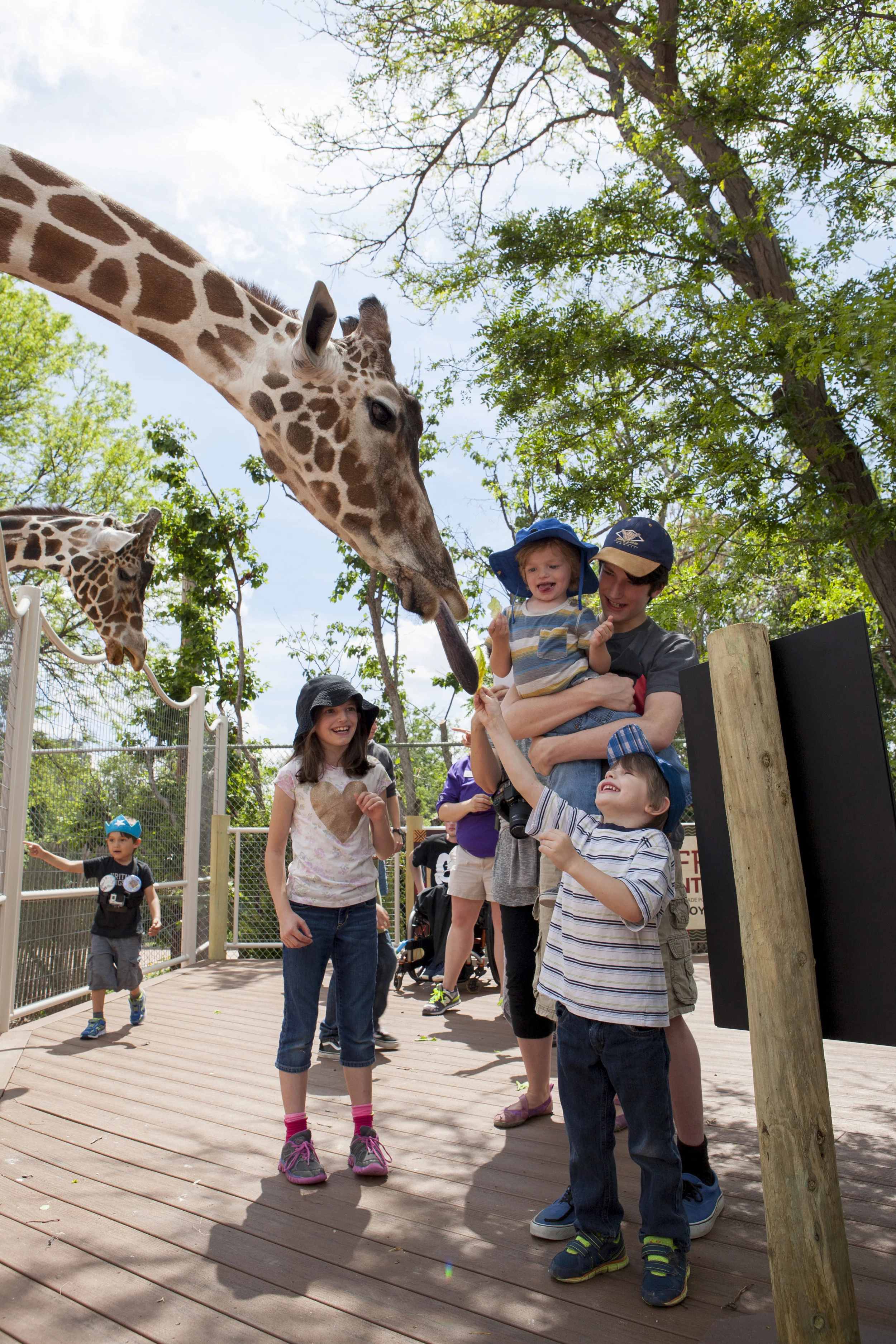 150612_giraffe_encounter542_CB.jpg