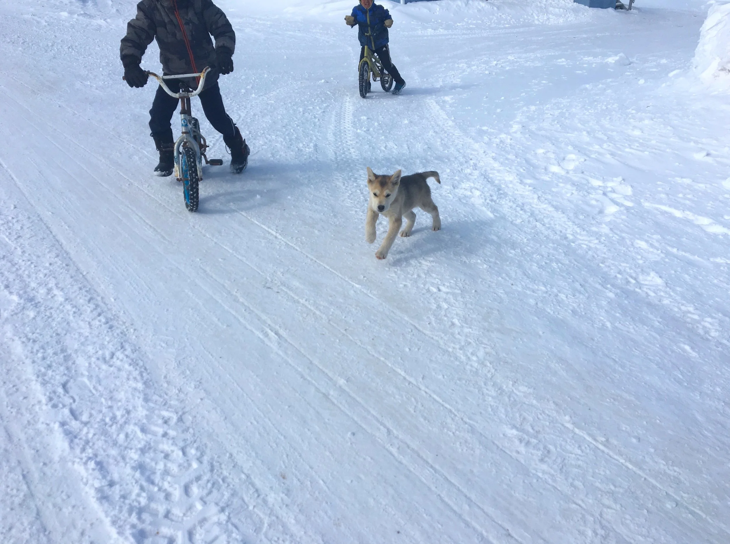 Qikiqtarjuaq