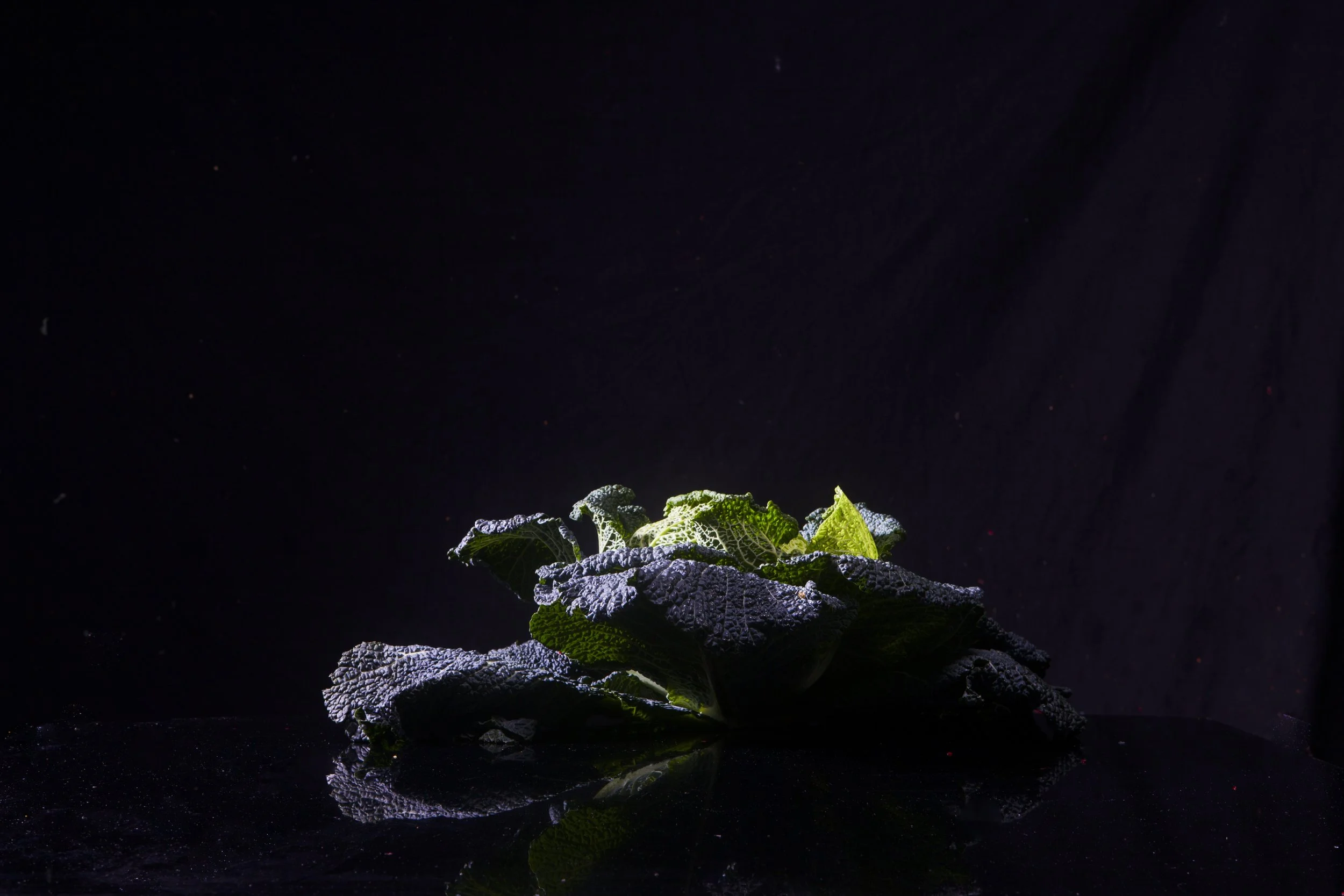 gafferstalk-108 Kopie.jpeg