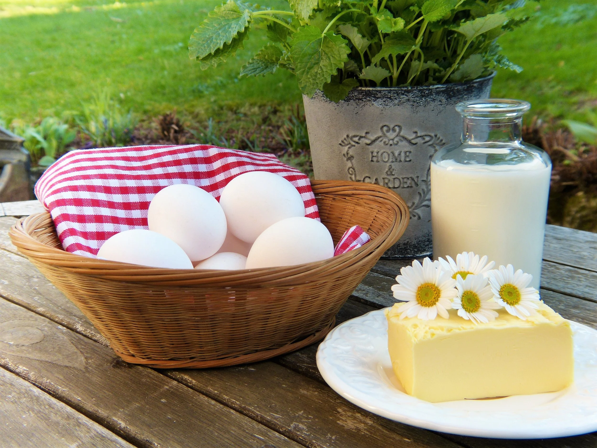 Trudi said she was once “a fat-phobic dietitian,” telling me her family laugh because she now eats butter