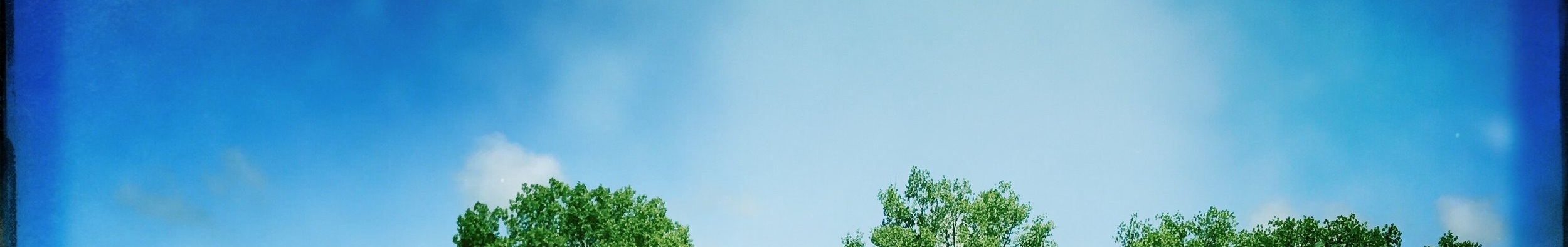 RDFD0129.jpg