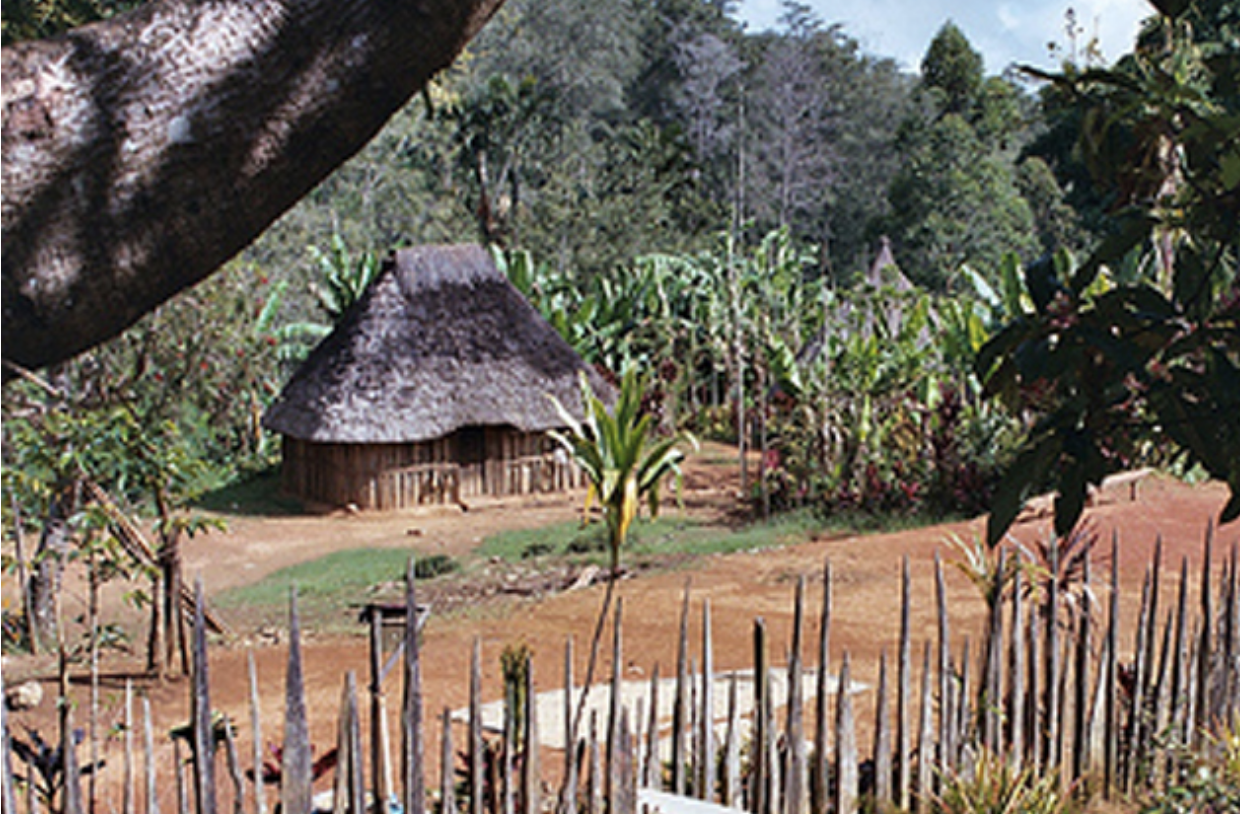 Screen Shot 2022-02-15 at 1.36.19 PM.png