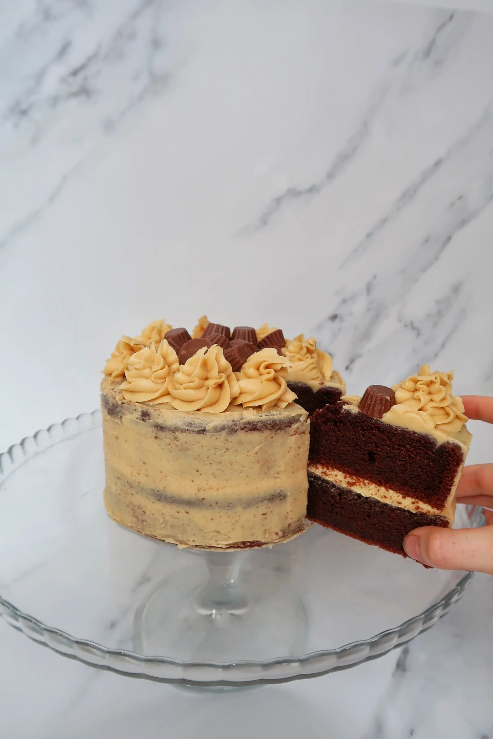 Peanut Butter Chocolate Fudge Cake (Gluten Free)