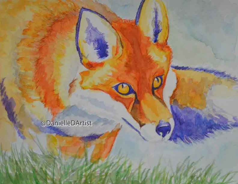 Red fox