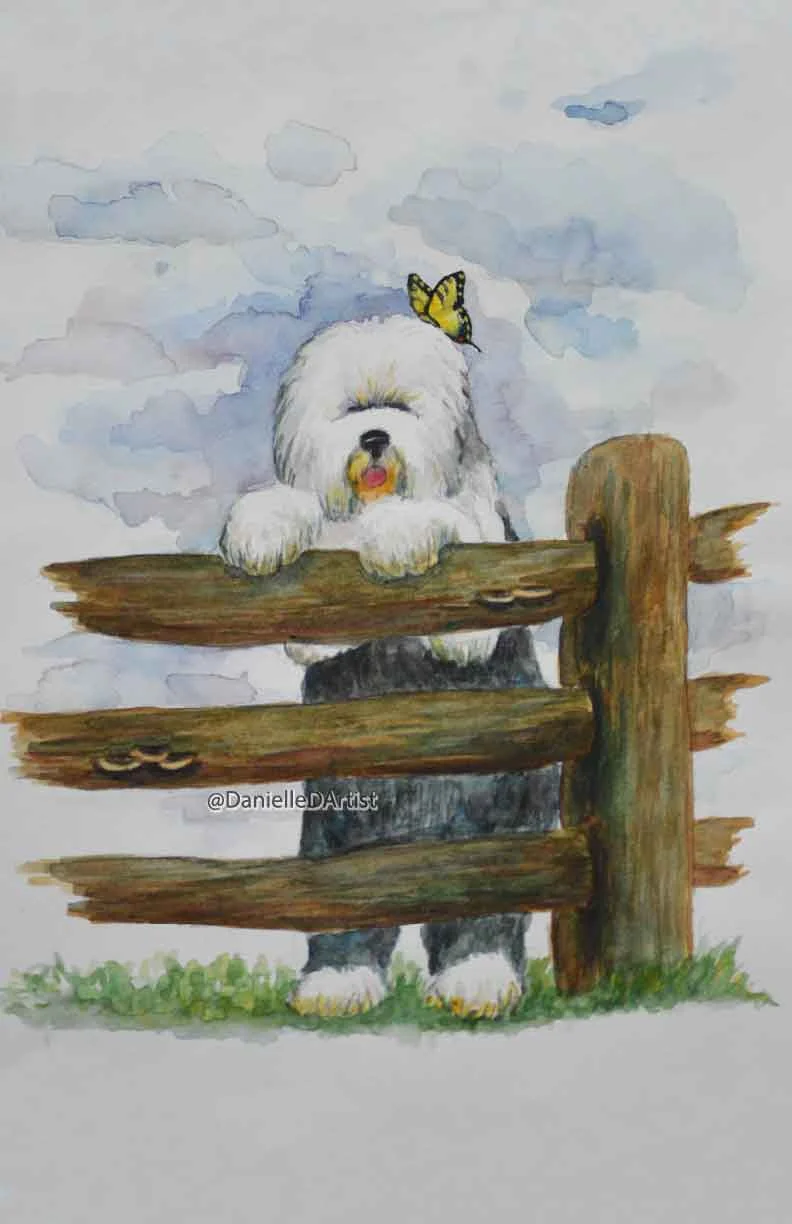 sheepdog.jpg