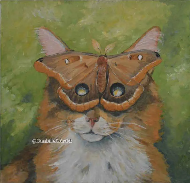 hazel moth.jpg