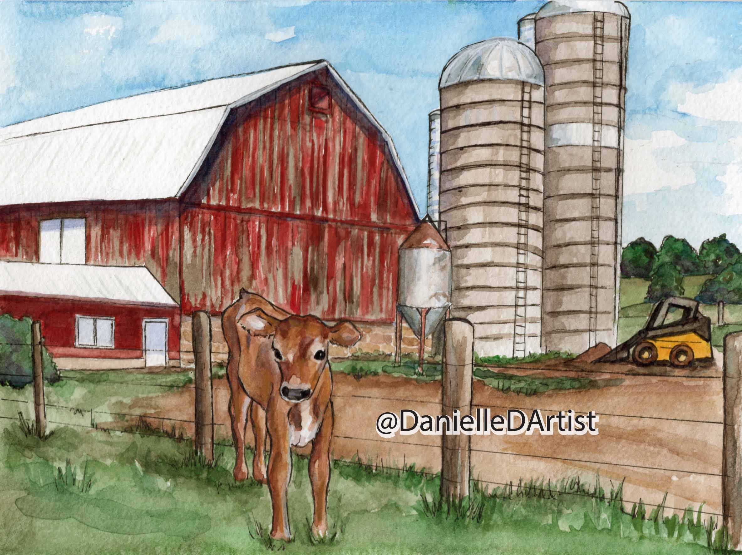calf and barn.jpg