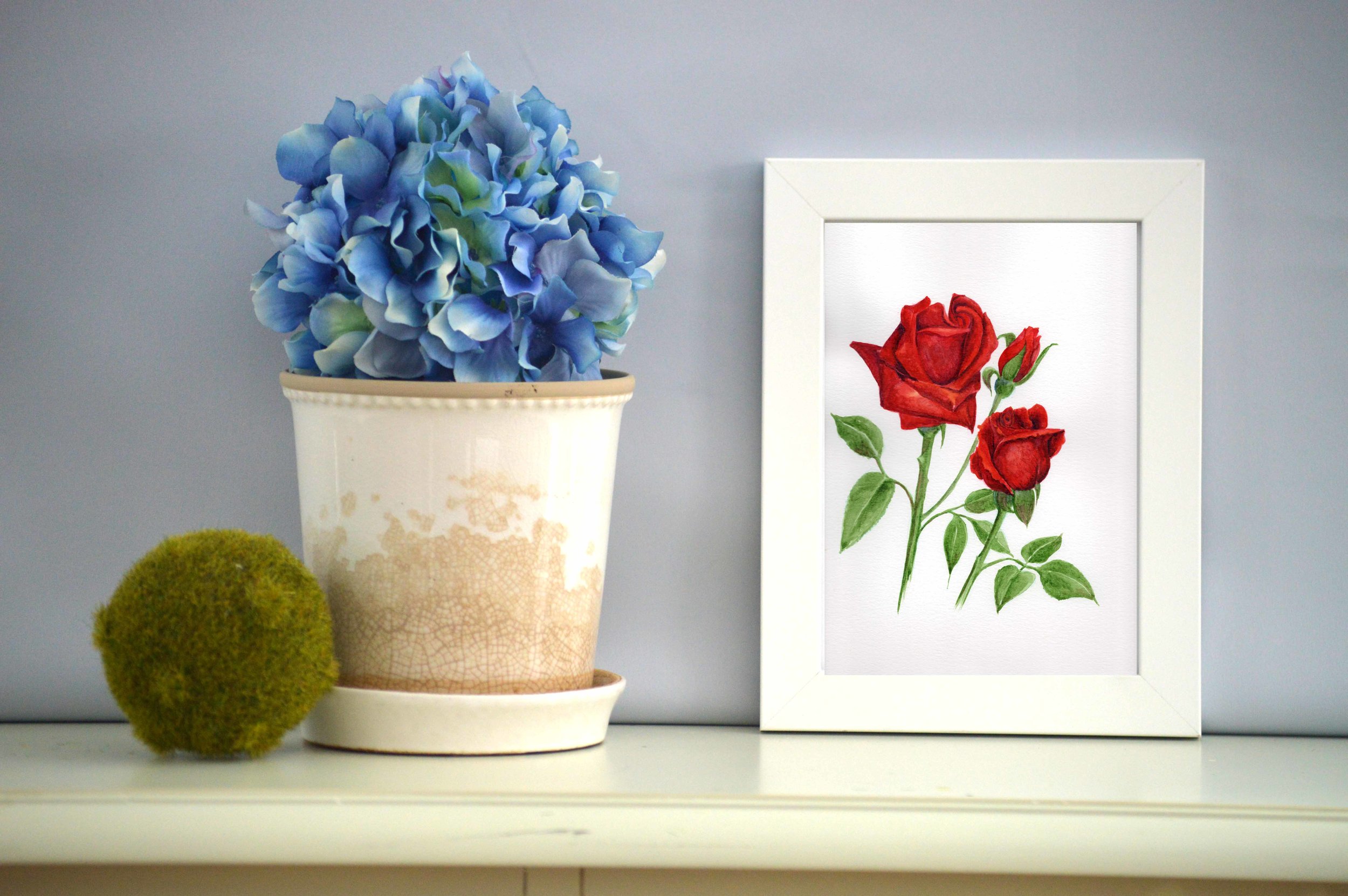 red rose in frame.jpg
