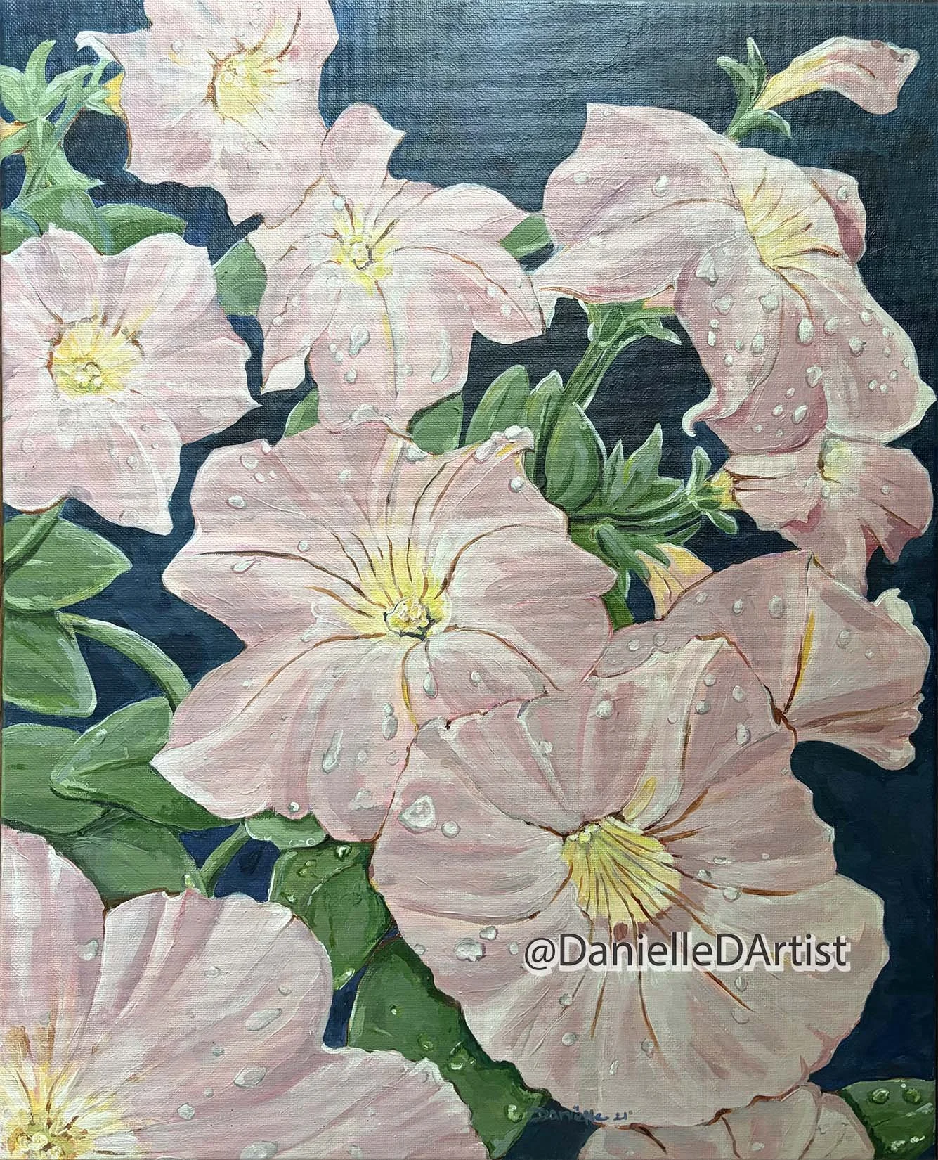 Pink Petunias