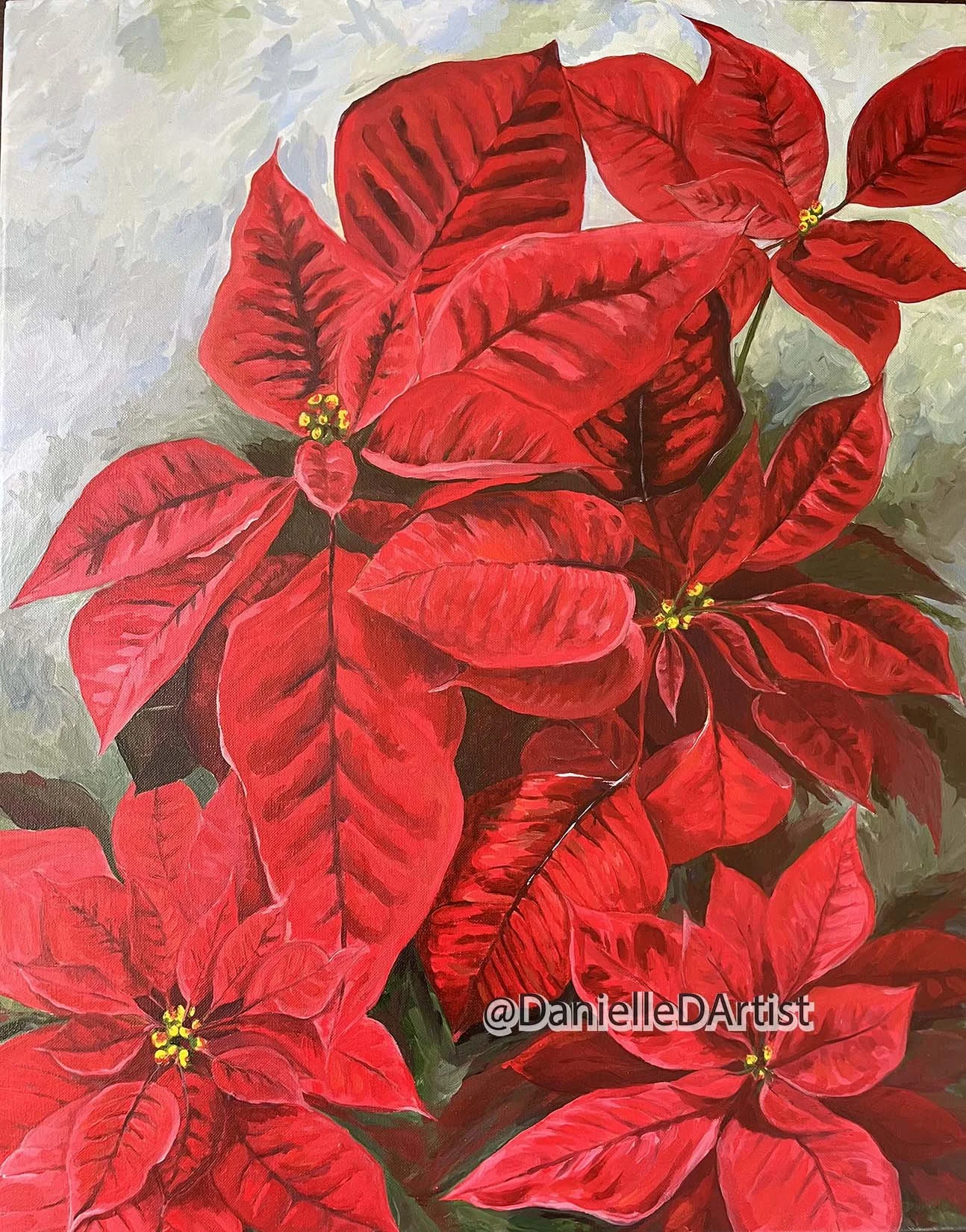 Poinsettia