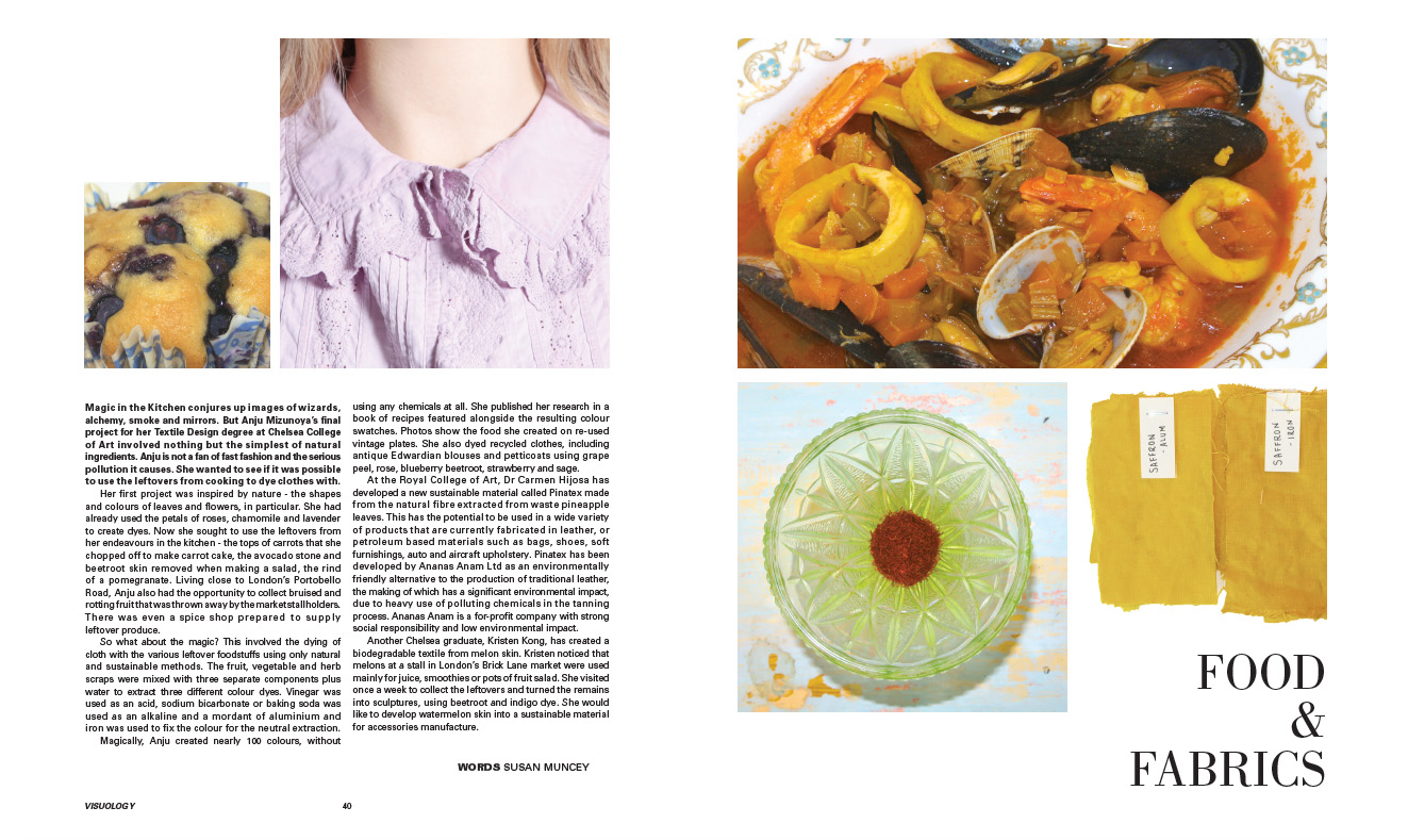 Food and fabrics by Susan Muncey.jpg