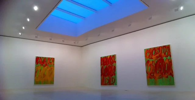  GRANDE SALLE AVEC TOIT OUVRANT 