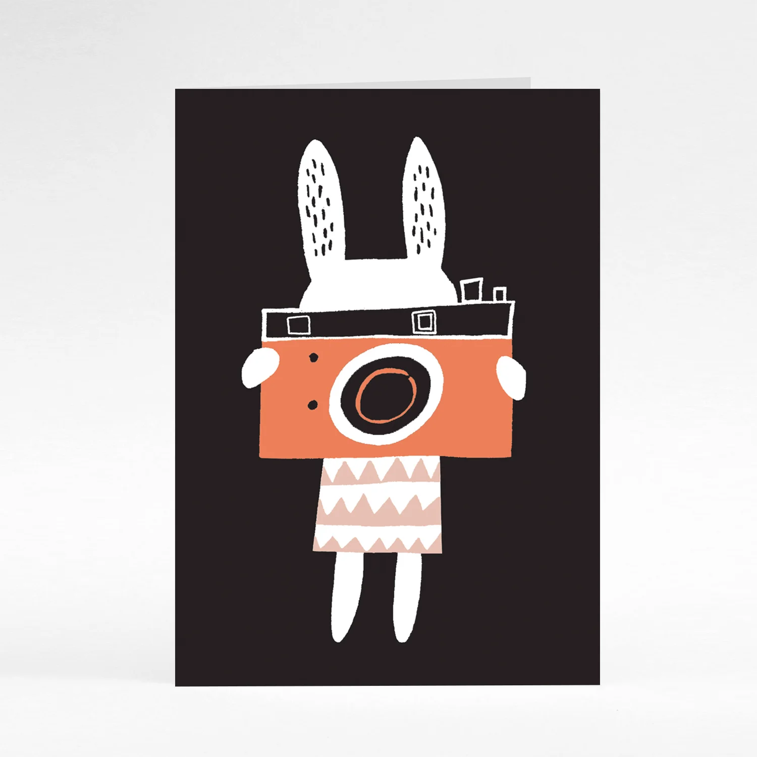 Camera Web.jpg