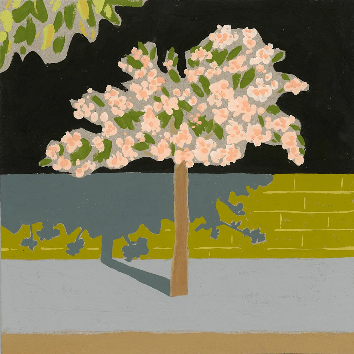 Blossom at Night SS.jpg