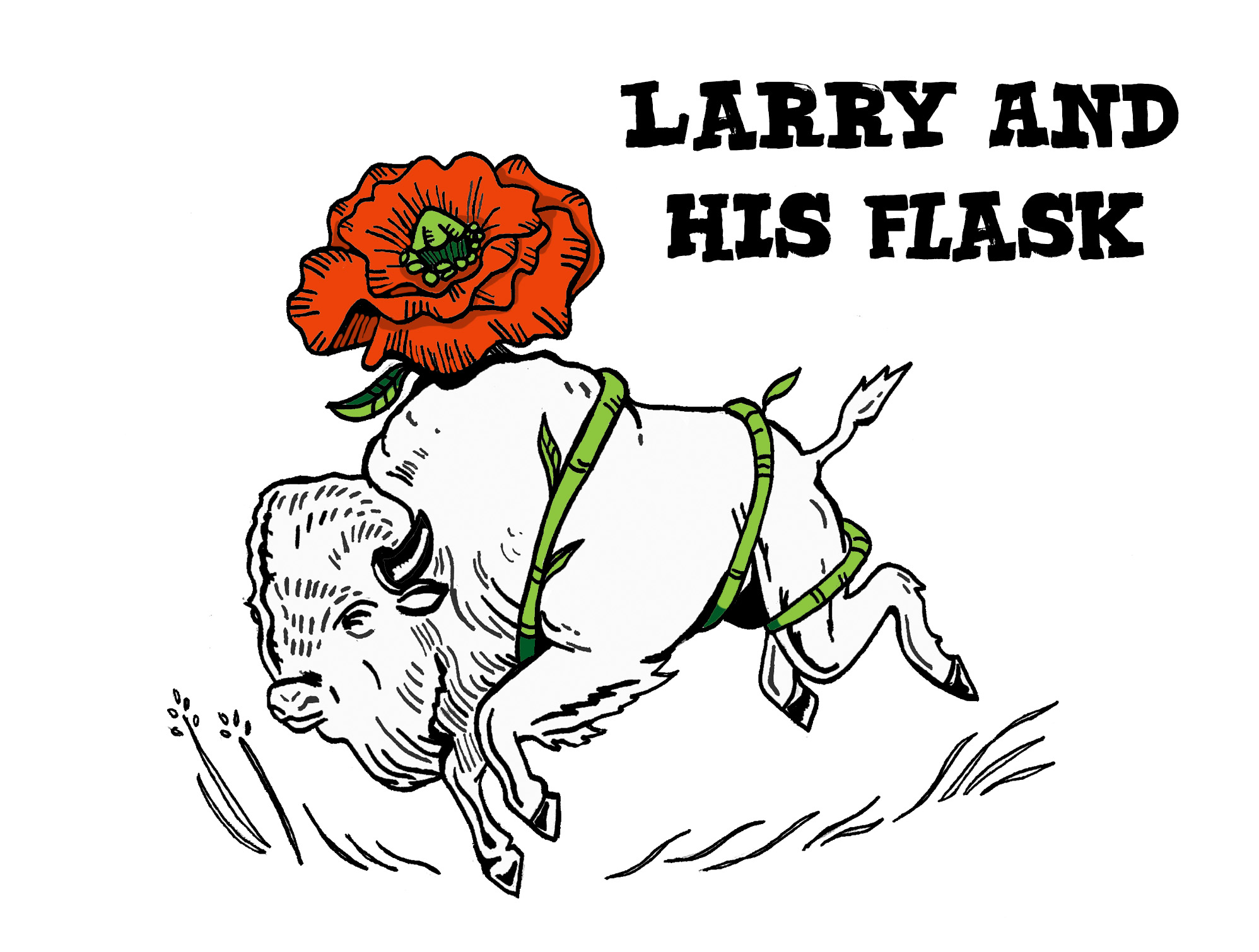  Graphic Designs for the band Larry And His Flash 2018.&nbsp; 