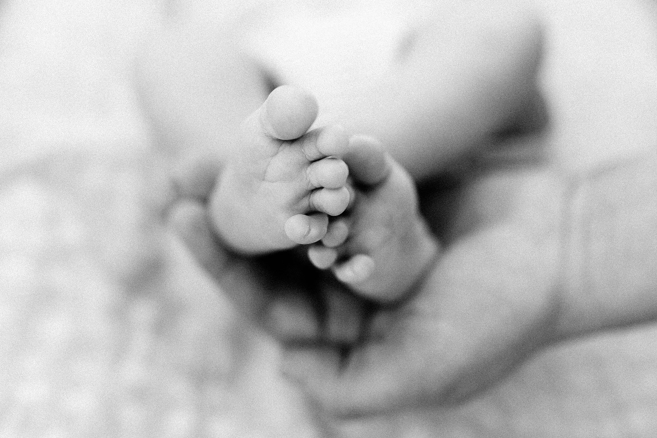 tucson-lifestyle-newborn-motherhood-studio-portraits-fletcher-and-co_herman 041.jpg