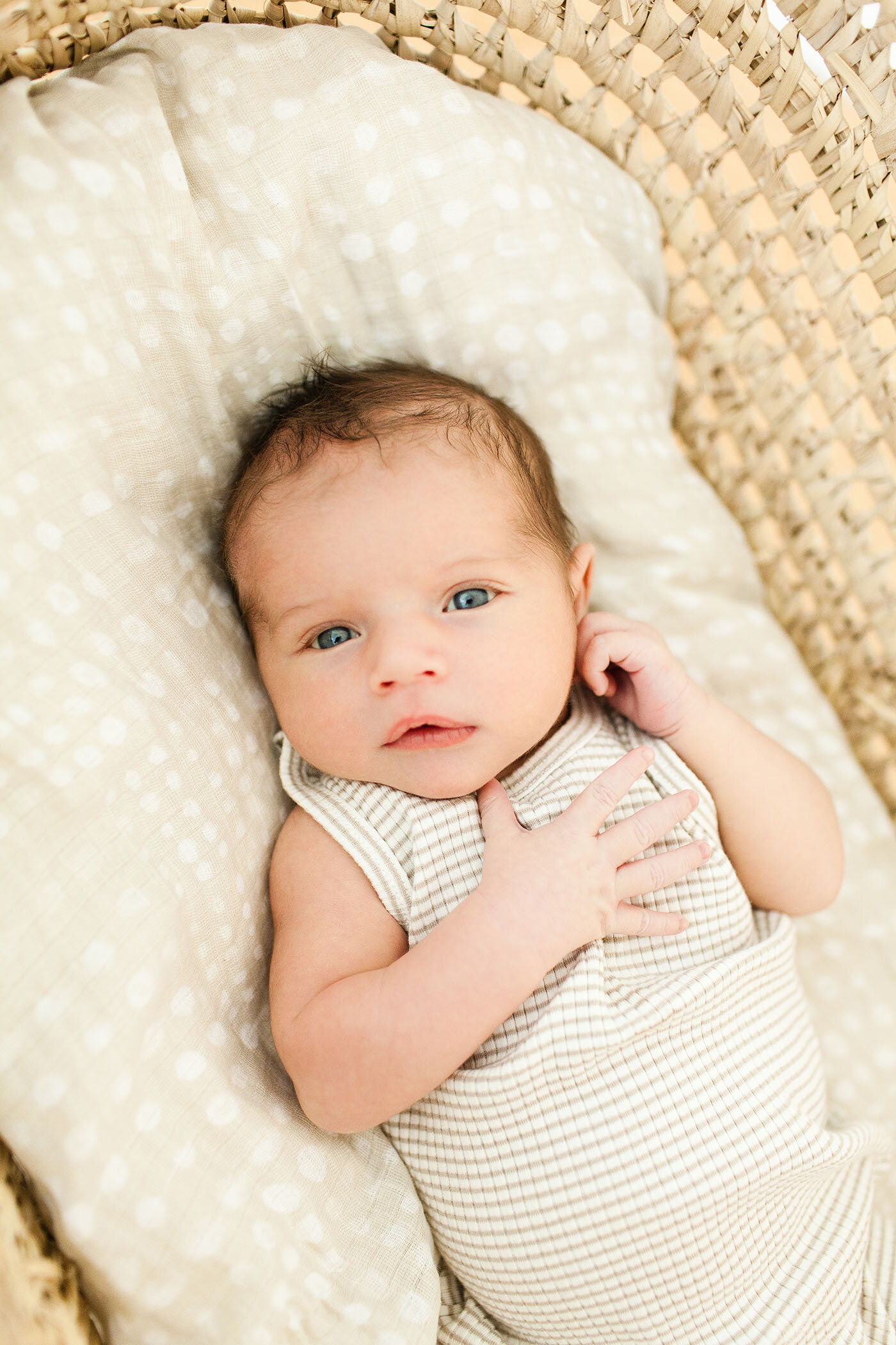 tucson-lifestyle-newborn-studio-portraits-fletcher-and-co_herman 038.jpg