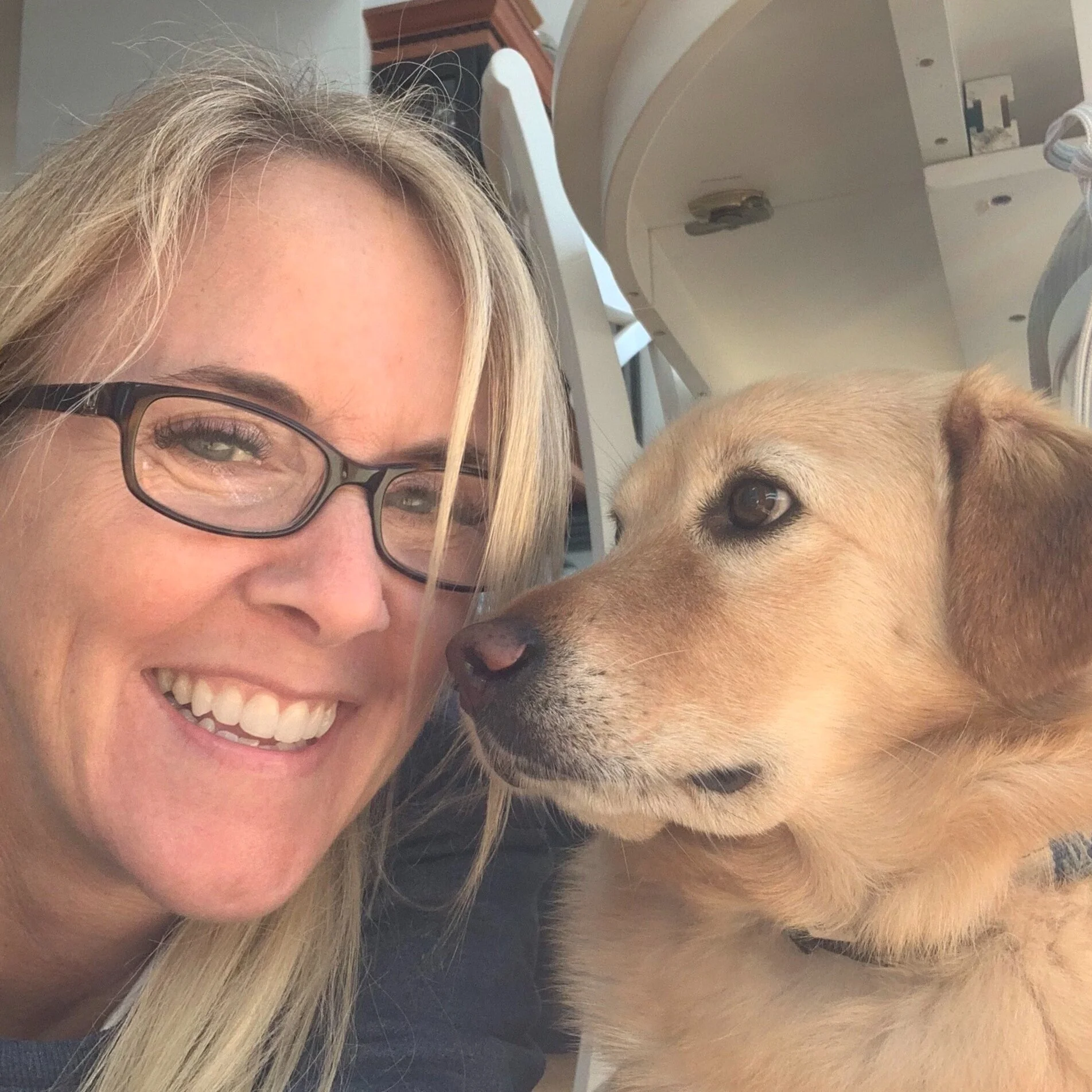 Upper Cape Pet Services