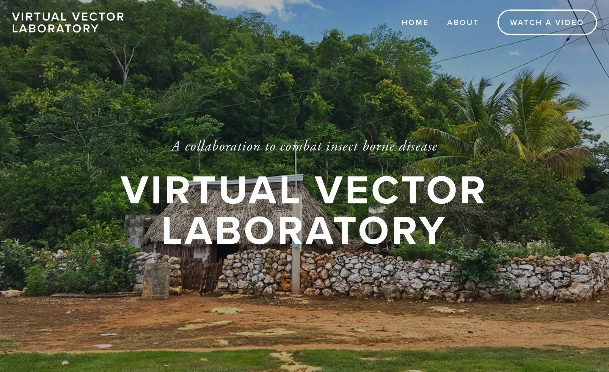  To learn more about the Virtual Vector Laboratory and Chagas disease, follow this link to the informational website.  https://vectorlab.org     