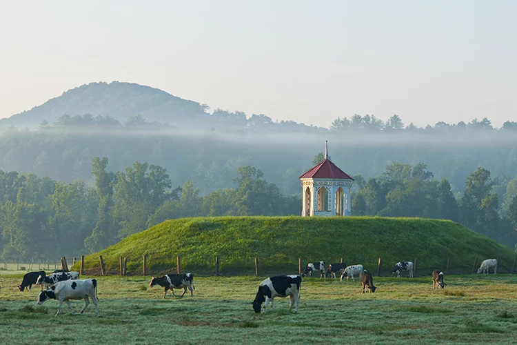 "Fog Lifting"