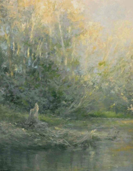 Fleeting Light
