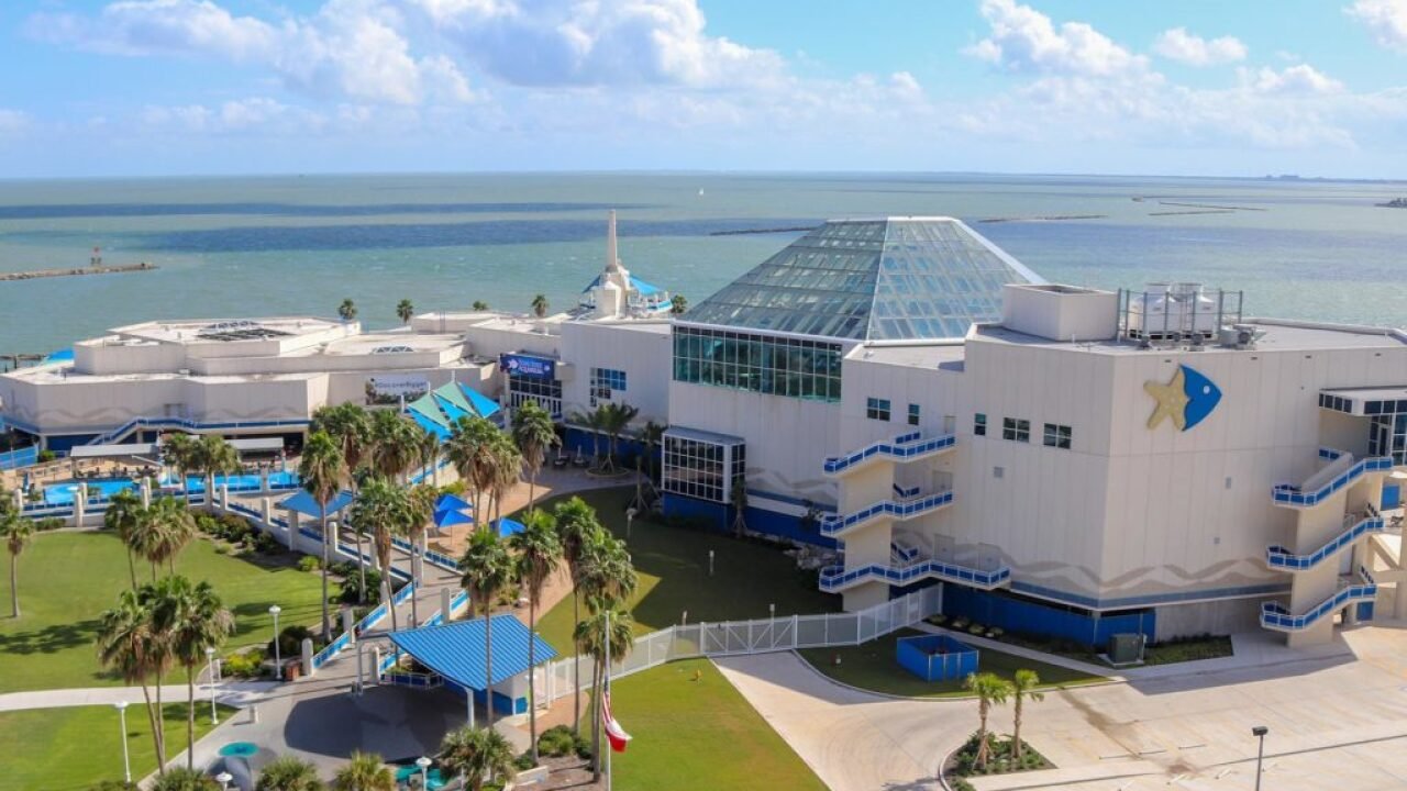 2024 - Texas State Aquarium - Corpus Christi, TX