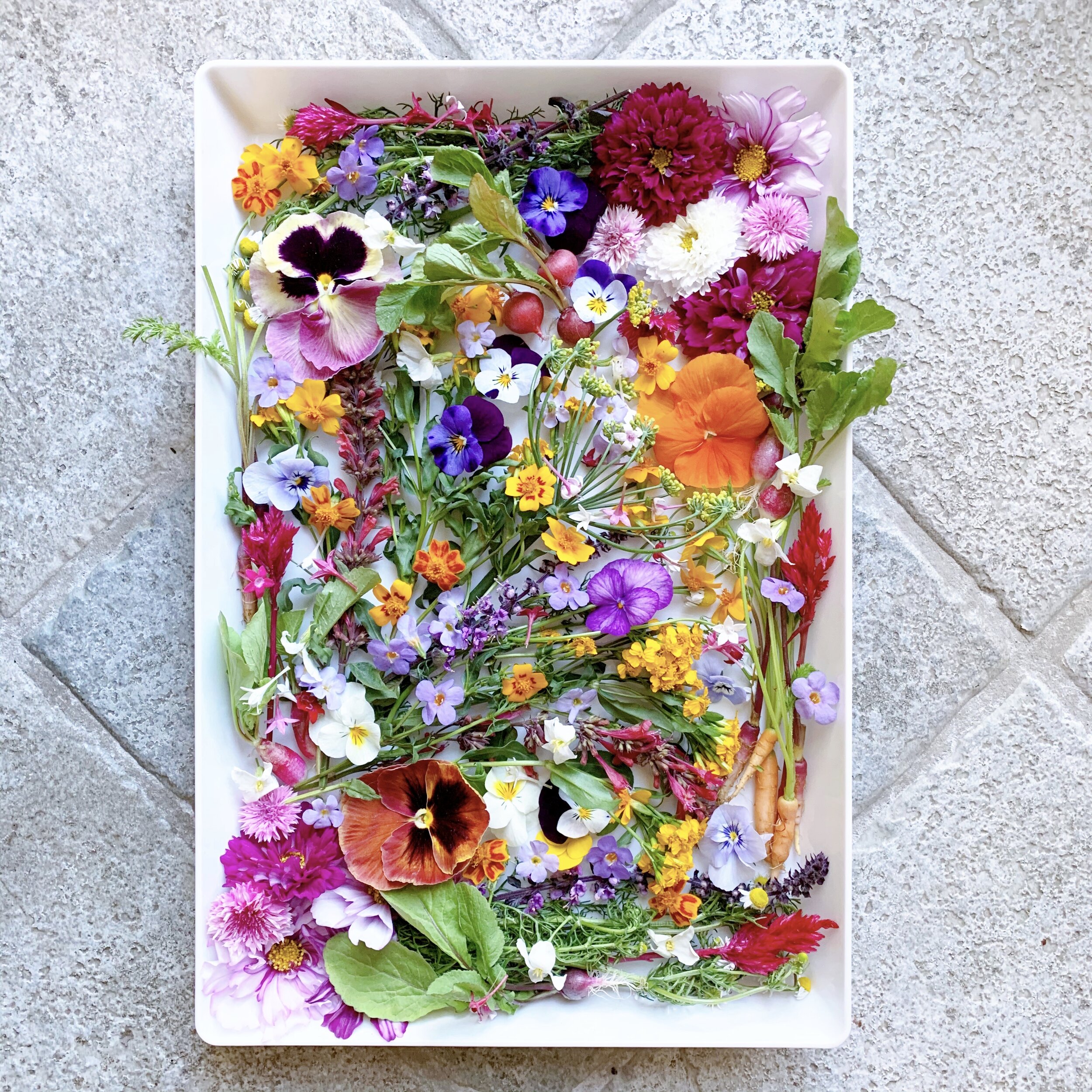 Buy Dried Edible Flowers Online