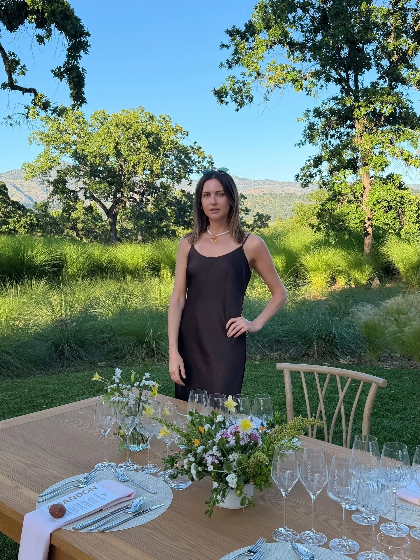 sparkling wine, spritzes &amp; snacky heaven 🧀 merci @chandonusa for the most magical tour of your napa home 🥂