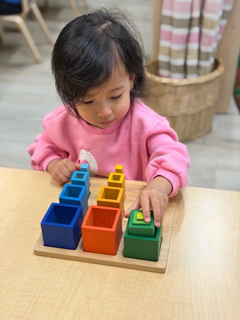 Stepping Stone (2.5-3.5 years)