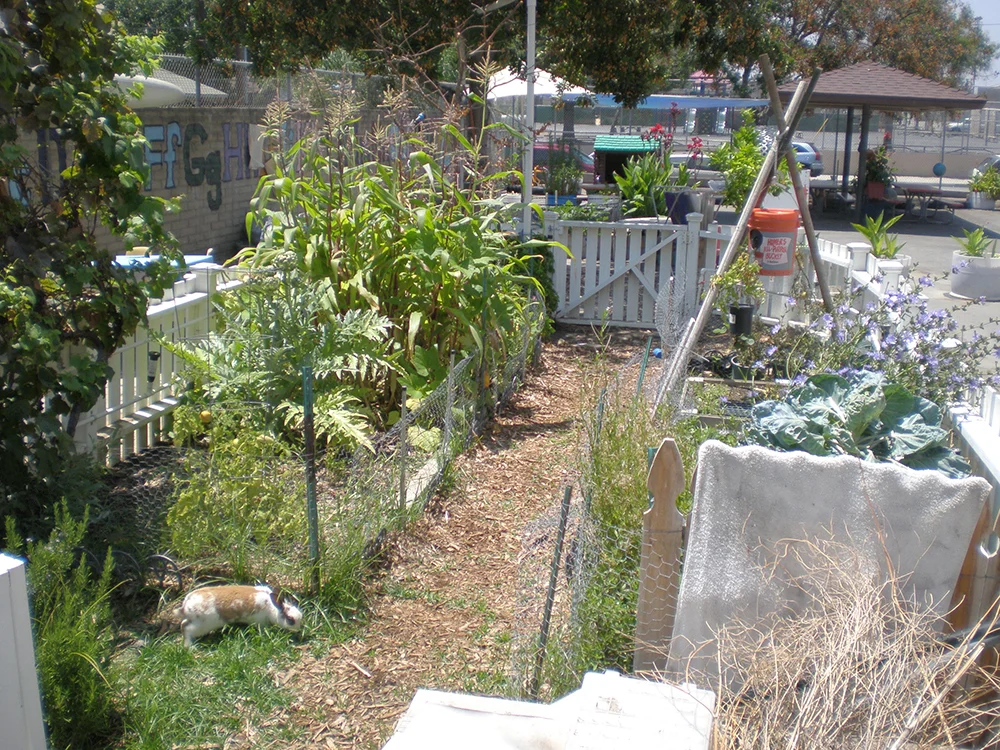 P7280014.jpg