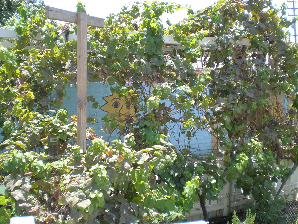 P7280015.jpg