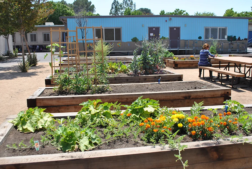 garden1.jpg