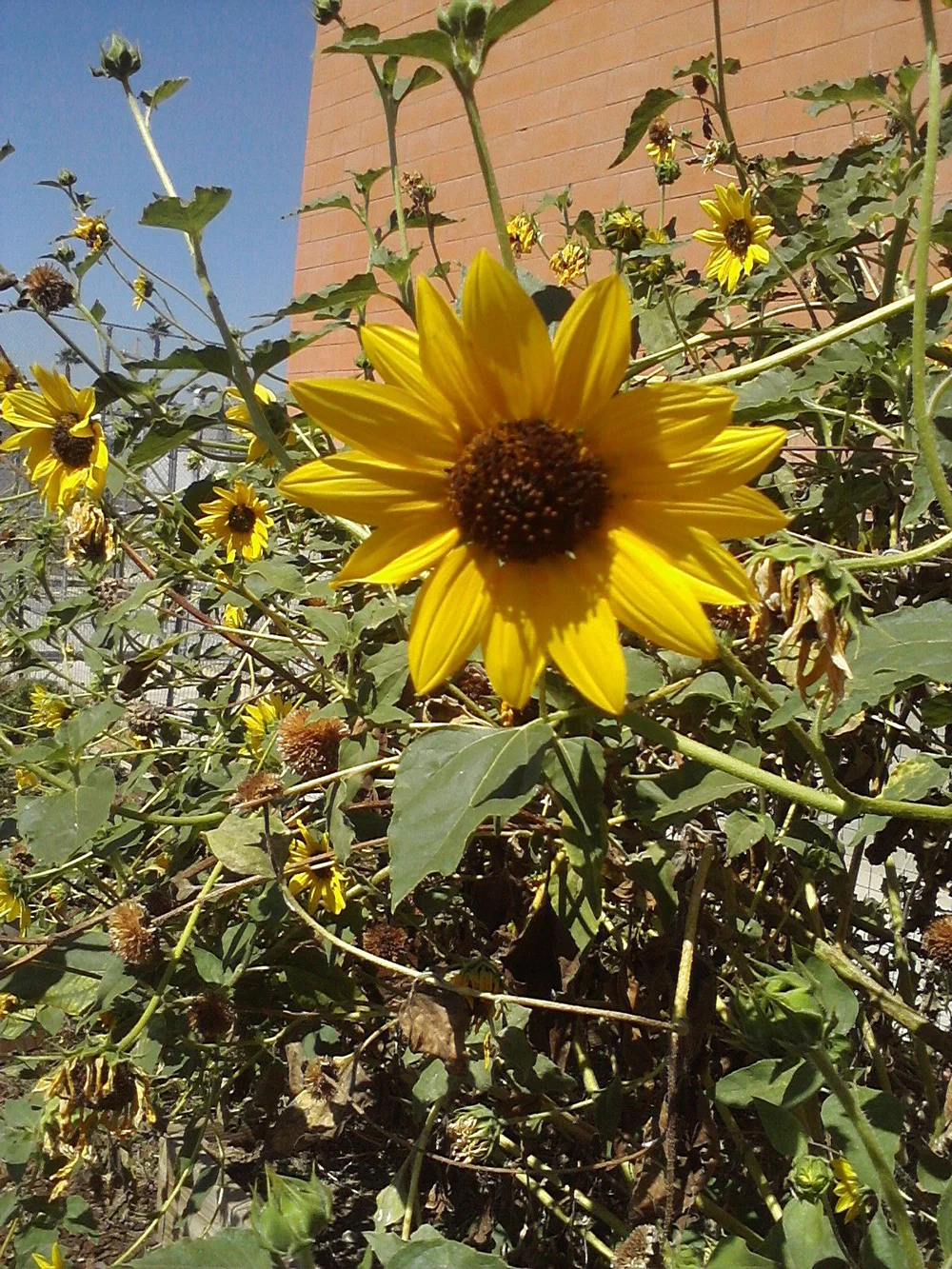 downsized_Image09202012122017.jpeg