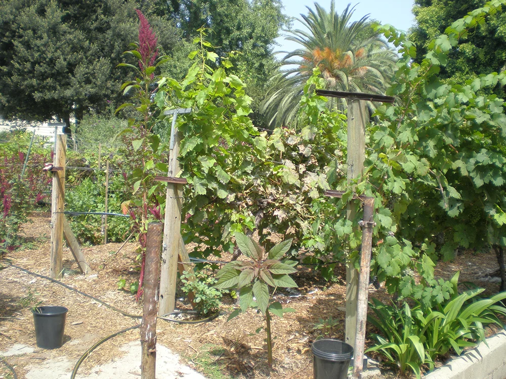 home-page-image.jpg