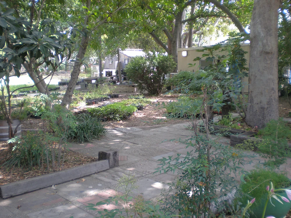 P8180027.jpg
