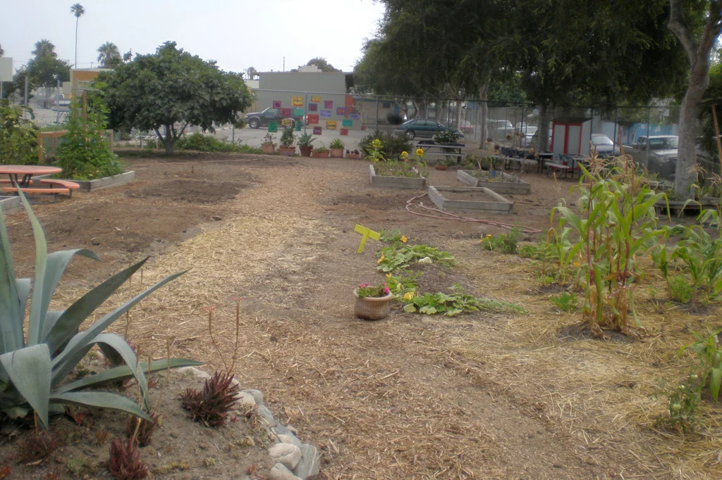 FirstGarden.jpg