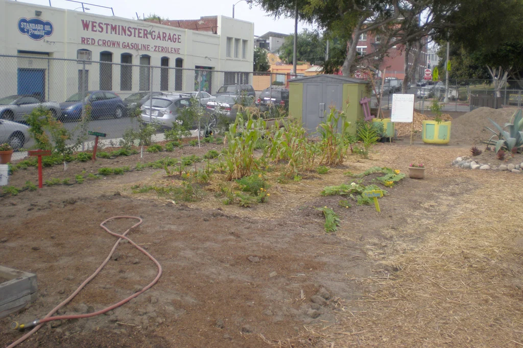 FirstGarden3.jpg