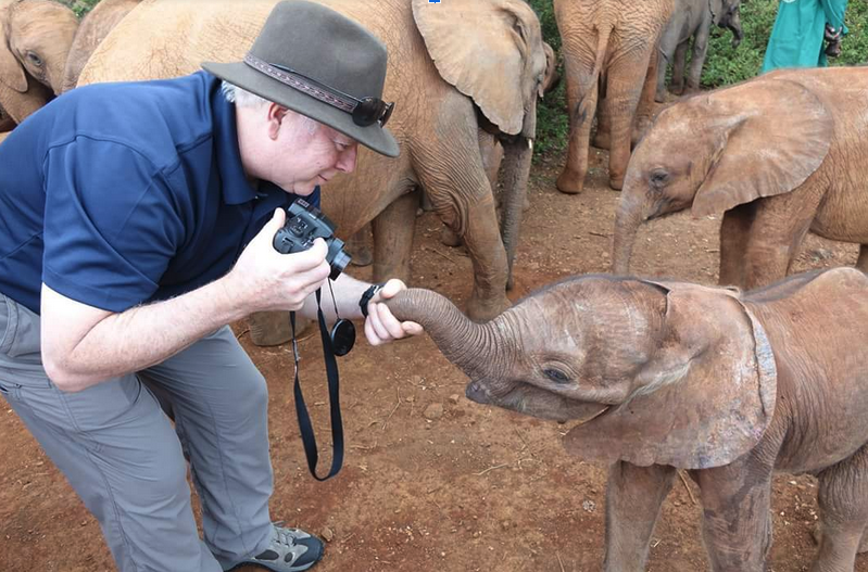 Streaming Service Ecoflix Offers an Entertaining Way to Protect Wildlife 