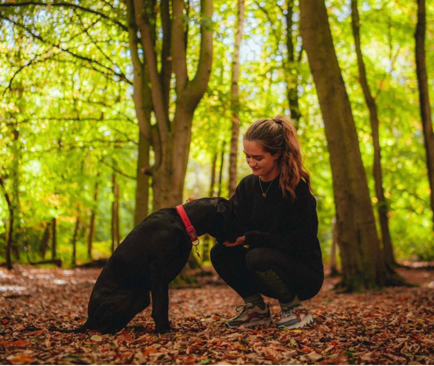 EMA Climate Action Spotlight: The Greenify Project 