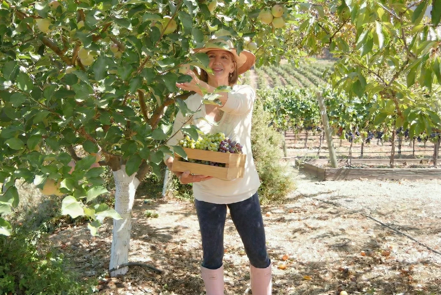 Women’s Month Spotlight: Green Entrepreneur and EMA Board Member Karen Behnke 