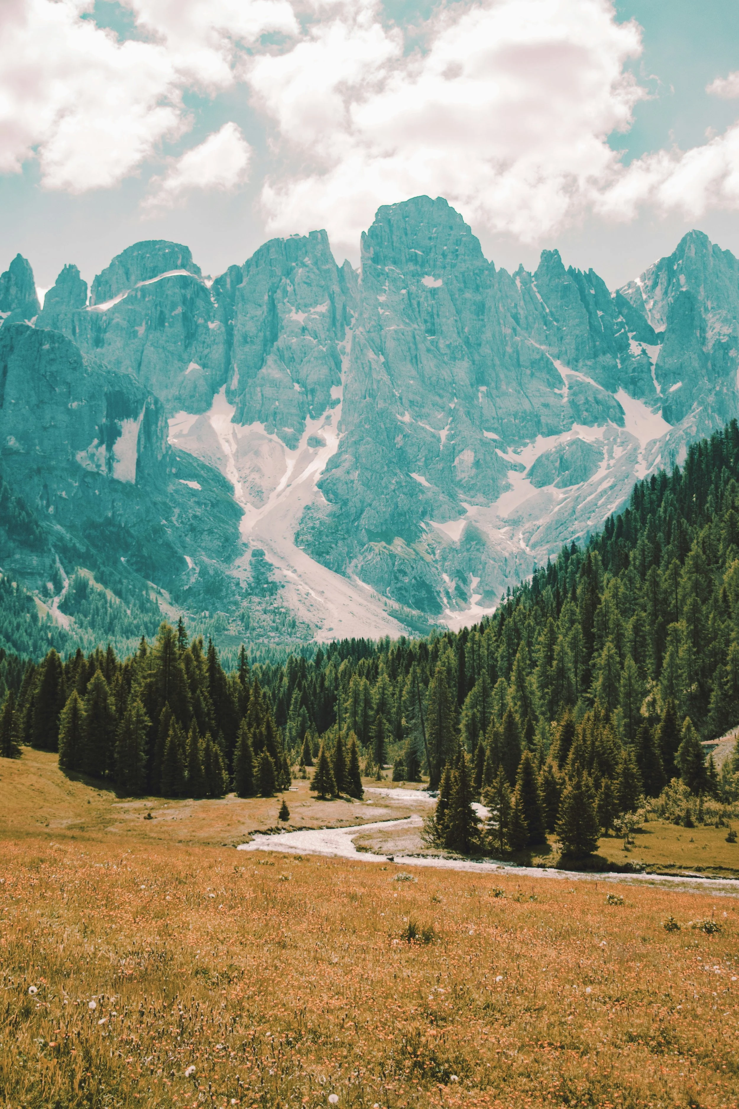damiano-baschiera-eORAanPNM58-unsplash.jpg